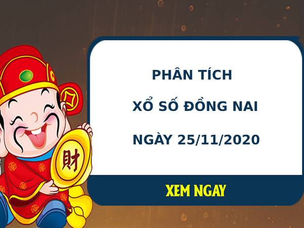Phân tích kết quả XS Đồng Nai ngày 25/11/2020