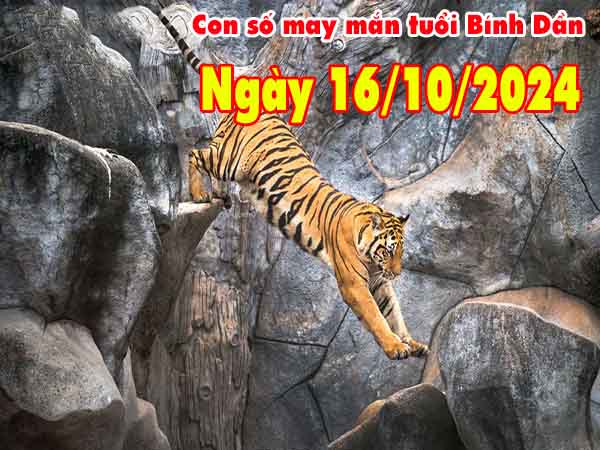 Phân tích con số may mắn tuổi Bính Dần ngày 16/10/2024 thứ 4 hôm nay