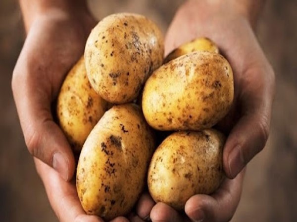 Nằm mơ thấy mình ăn khoai tây