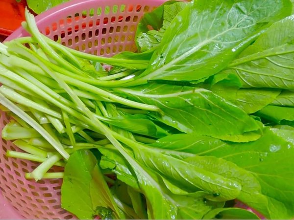 Ngủ mơ thấy rau cải dự báo nhiều điều thú vị