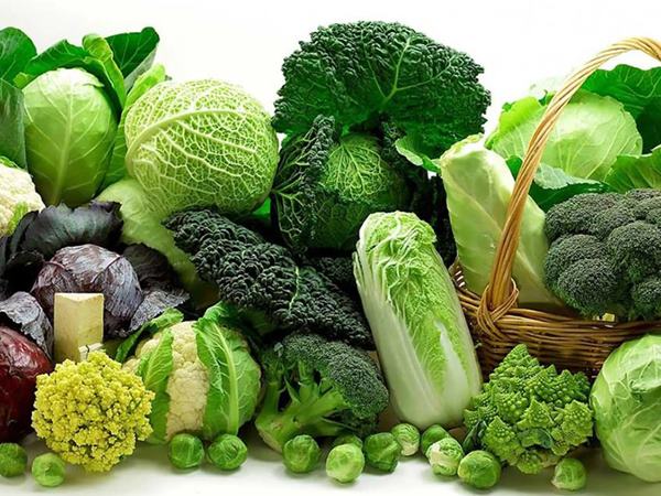 Ngủ mơ thấy rau cải dự báo nhiều điều thú vị