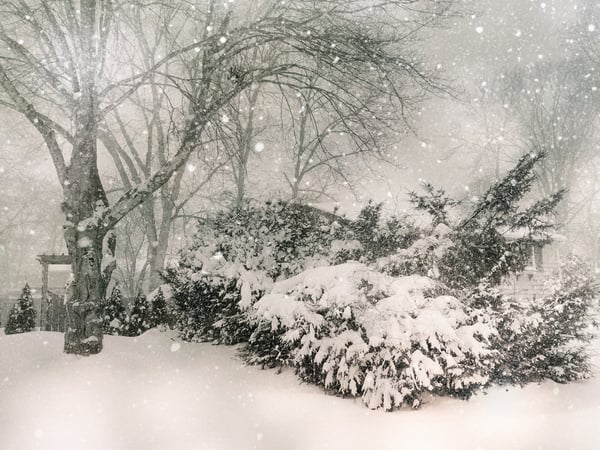 Hé lộ nằm mơ thấy tuyết rơi là điềm gì, số gì lộc phát?