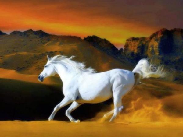 Con số may mắn ngày 4/4 tuổi Canh Ngọ giúp gia tăng vận khí